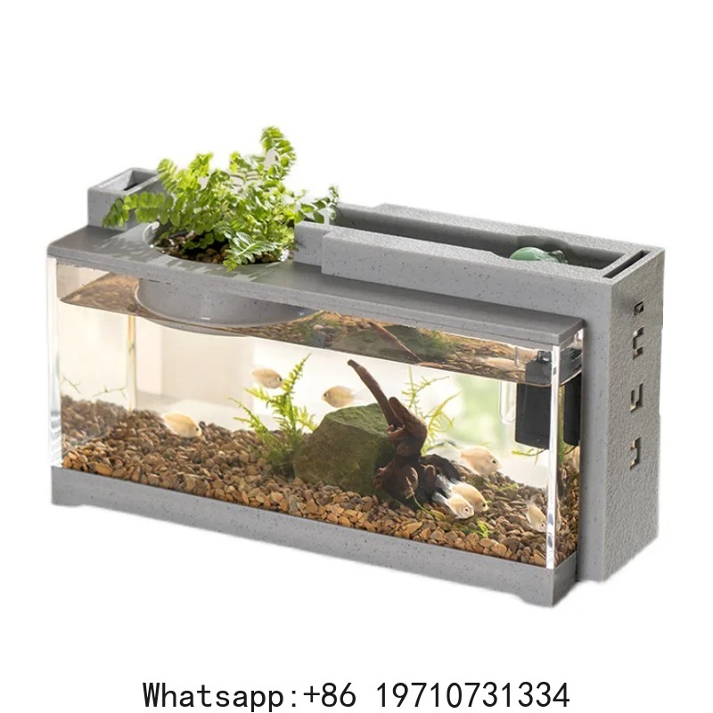 수족관 물고기 탱크 키트 내장형 산소 바 USB 무음  - Office Lighting Decor 리뷰 및 가격